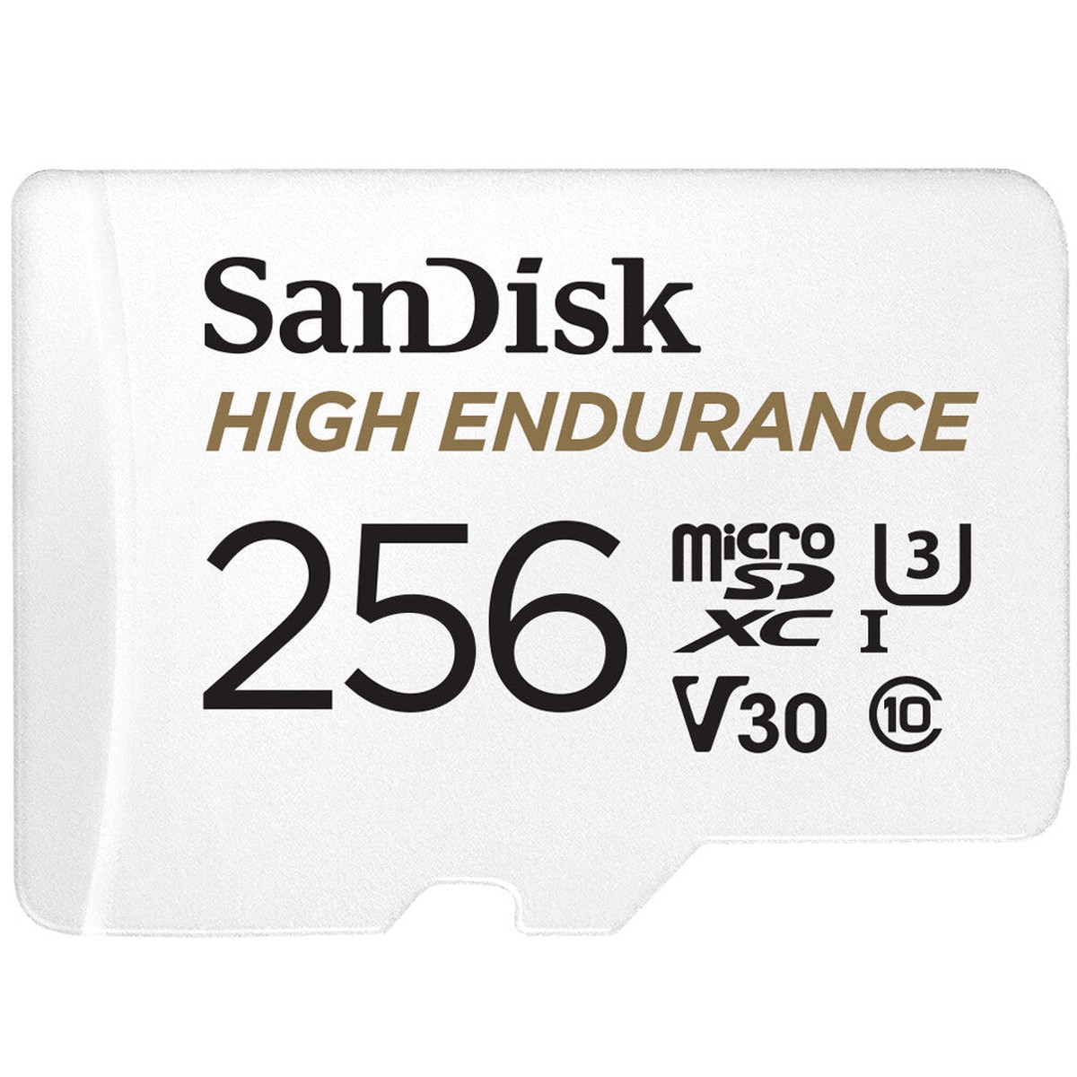 SanDisk High Endurance microSDXC 256GB 100MB/s